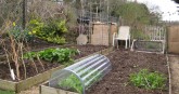 allotment