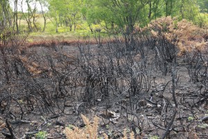 Grass fire on Eston Hills Grass fire on Eston Hills