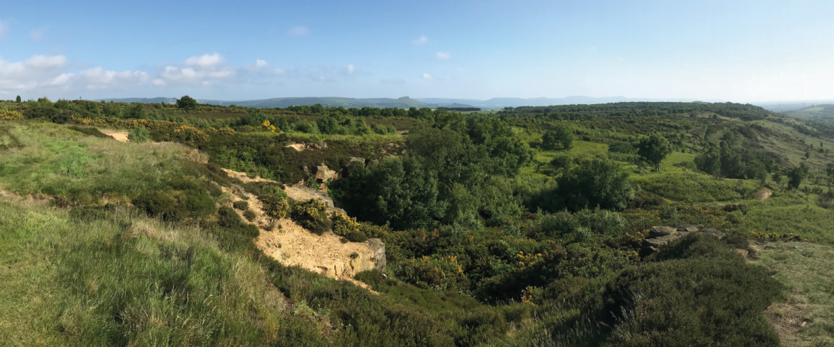 A section of greenland at the top of eston hills, roseberry topping can be seen in the far distance