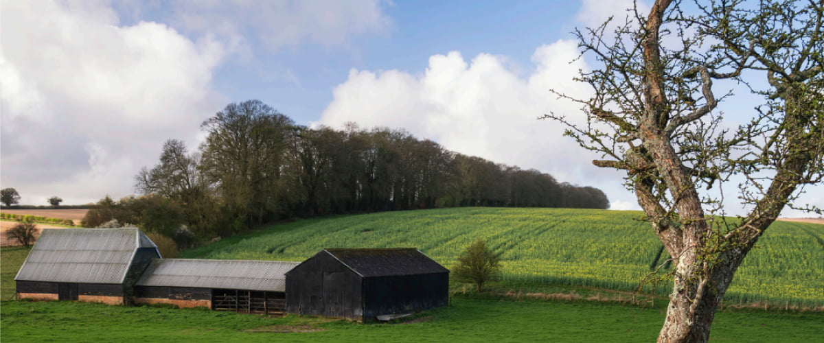 farmhouses in farmland