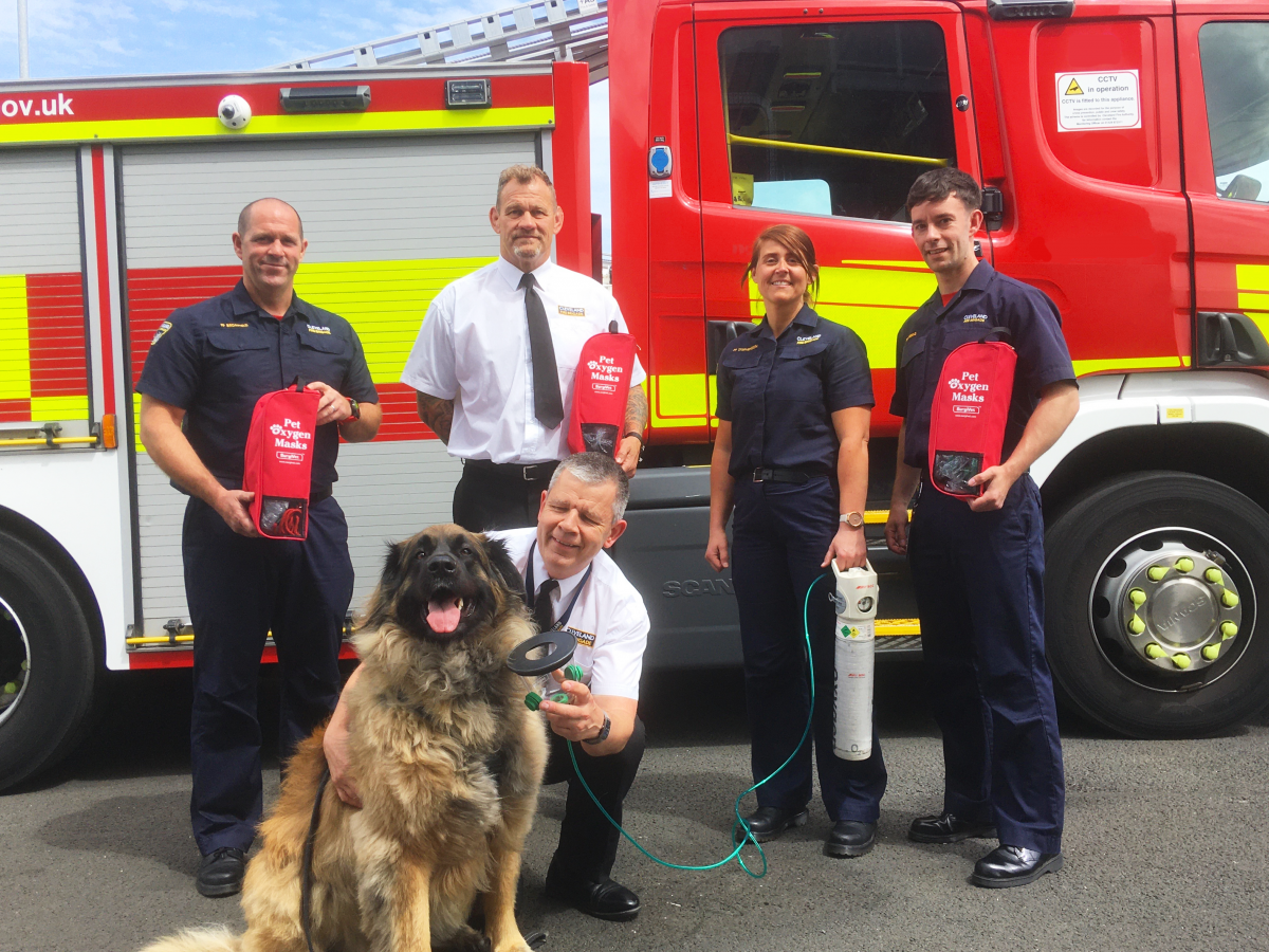 Firefighters in front of a fire engine holding a oxygen tank and a pet mask with a large leonberger breed dog