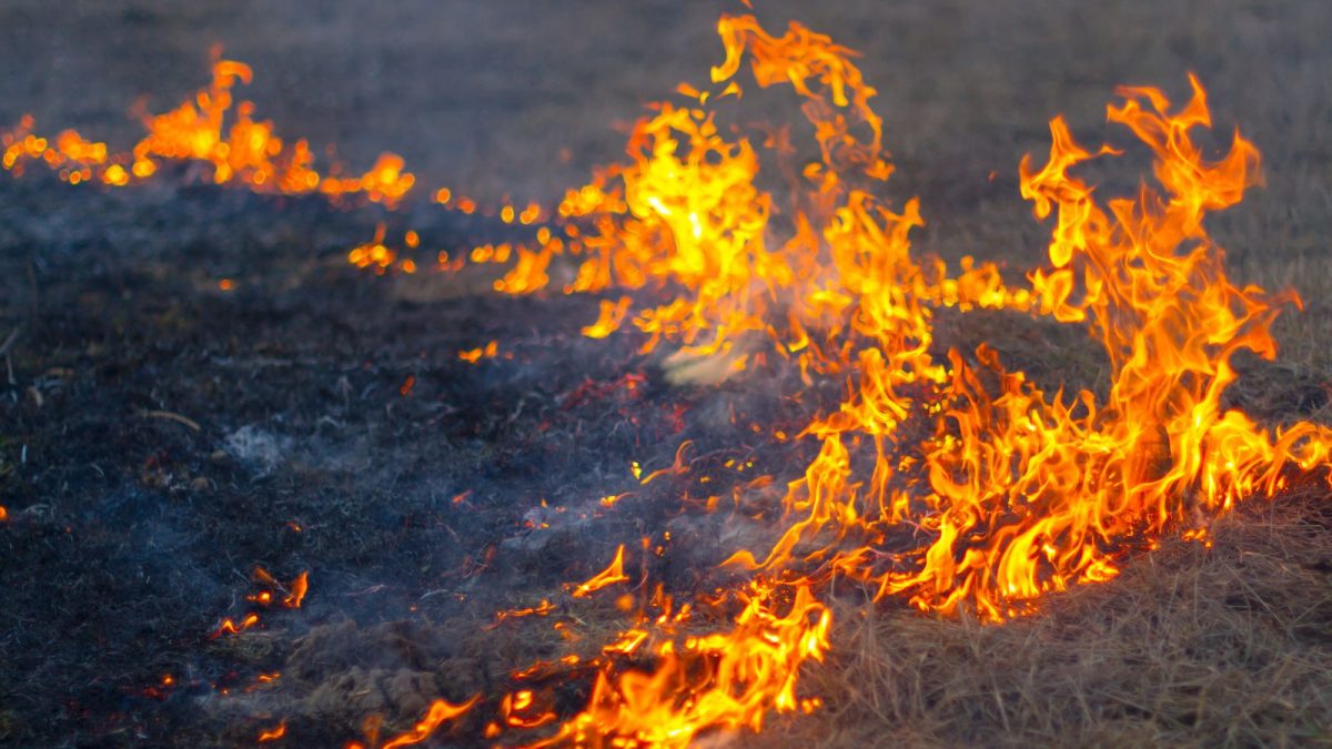 An image showing a large bit of grassland on fire