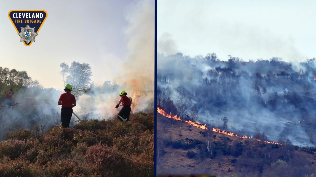 Firefighters tackling a blaze on wildfires