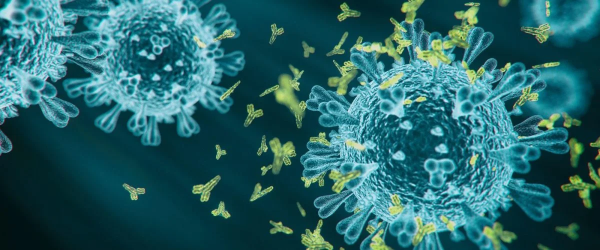 COVID-19 antibody - rendered image on black background