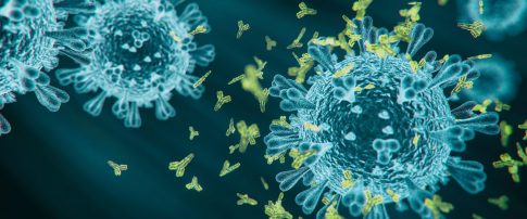 COVID-19 antibody - rendered image on black background